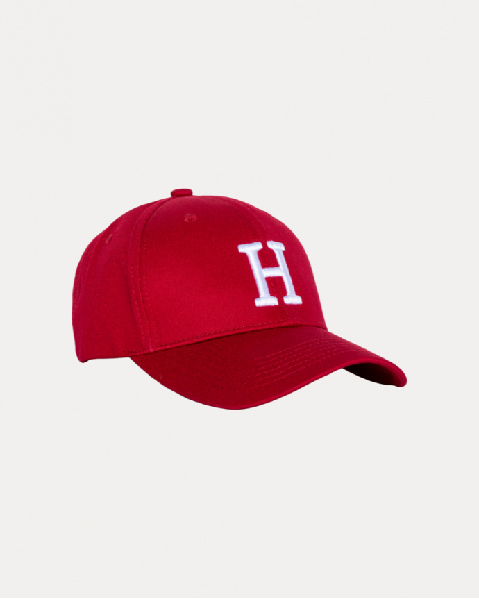 TEAM RED DAD-HAT